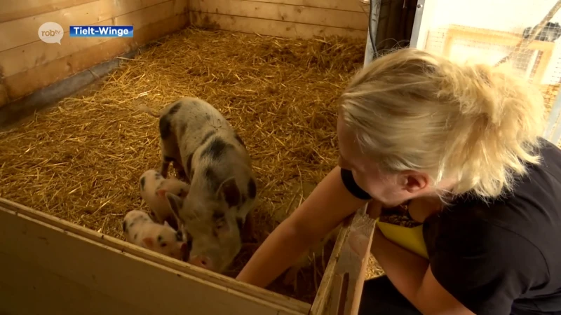 Eigenaars dierenasiel De Watermanshoeve dringend op zoek naar nieuwe locatie voor 250 dieren