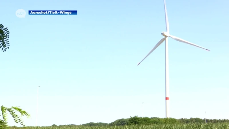 Aarschot en Tielt-Winge duiden twee locaties langs E314 als geschikt aan voor komst vier windturbines: "Geven positief advies aan investeerders"