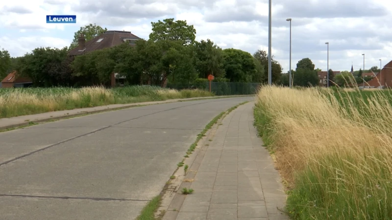 Nieuw ontmoetingscentrum in Wijgmaal zal 2,3 miljoen euro kosten