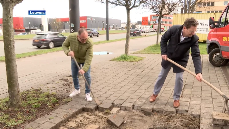 Tegeltaxi moet Leuvenaars extra motivatie geven om te tegelwippen: "Uitdaging voor de inwoners"