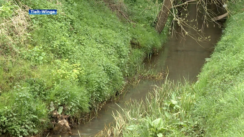 Nieuw overstromingsgebied aan Tieltse Motte moet wateroverlast helpen tegengaan