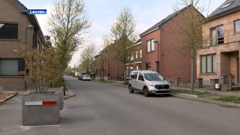Leuven wil omgeving van Rietenspark in Wijgmaal vergroenen: "Buurtbewoners kunnen plannen mee opbouwen"