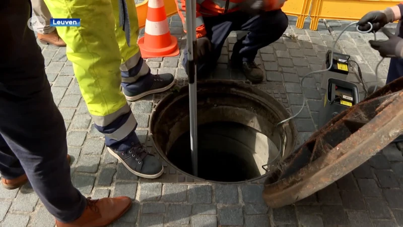 Slimme vallen moeten rattenpopulatie in Leuven in kaart brengen: "Methode om zonder gif te werken"
