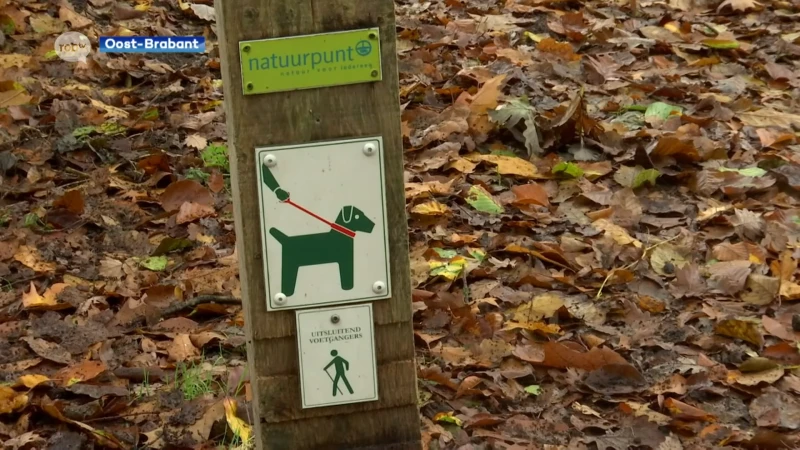 Agentschap Natuur en Bos controleert dit weekend extra op loslopende honden