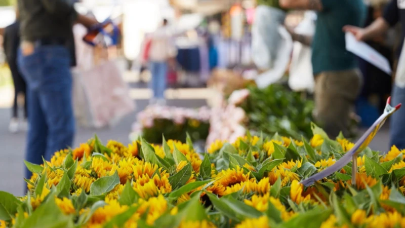Leuven trakteert morgen met gratis potgrond én tuinadvies op de Bloemenmarkt: "zorgen voor een bloeiende en kleurrijke stad"