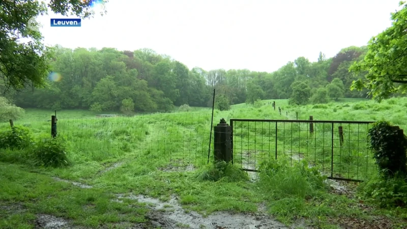 Leuven koopt park als toegangspoort voor zuidelijke kant Trolieberg