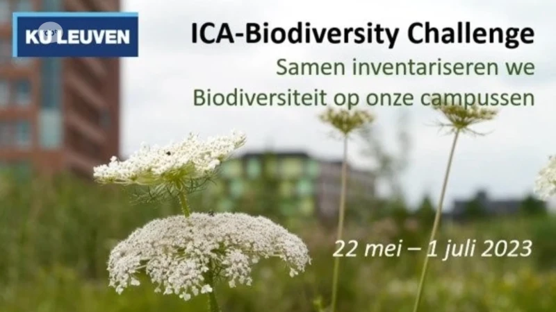 Tel alle dier- en plantensoorten op de KU Leuven campussen tijdens Bioblitz: "Biodiversiteit vergelijken met 17 andere universiteiten"