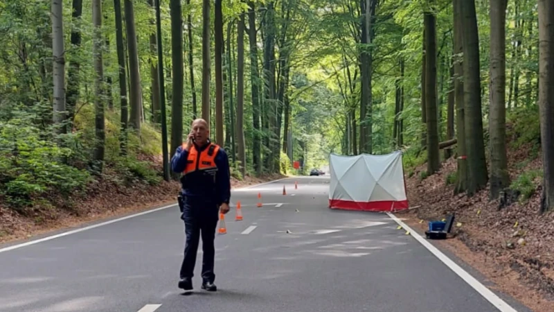 Vrouw (30) uit Waver biedt zich aan bij de politie na dodelijk verkeersongeval met vluchtmisdrijf in Tervuren