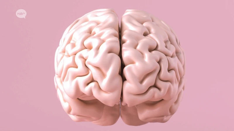 KU Leuven ontwikkelt nieuwe test om aanpak hersentumoren te bepalen: "Dit levert tijdswinst op"