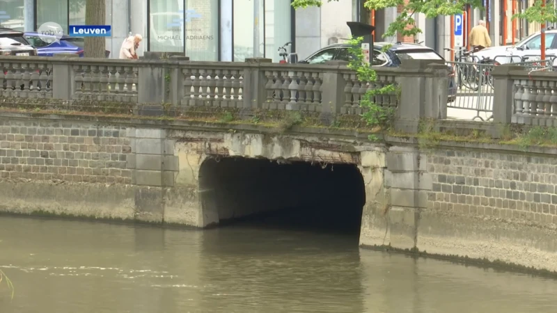 Ook heraanleg Lei toegevoegd aan project van Leuvense podiumkunstenzaal