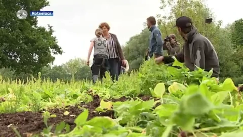 Zorgboerderij in Werchter krijgt hulp van Petra De Sutter om samenlevingsdienst in de kijker te zetten