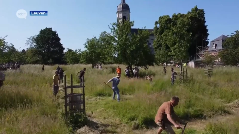 Belgisch Kampioenschap zeisen in Vlierbeek: "De dansbeweging brengt rust"