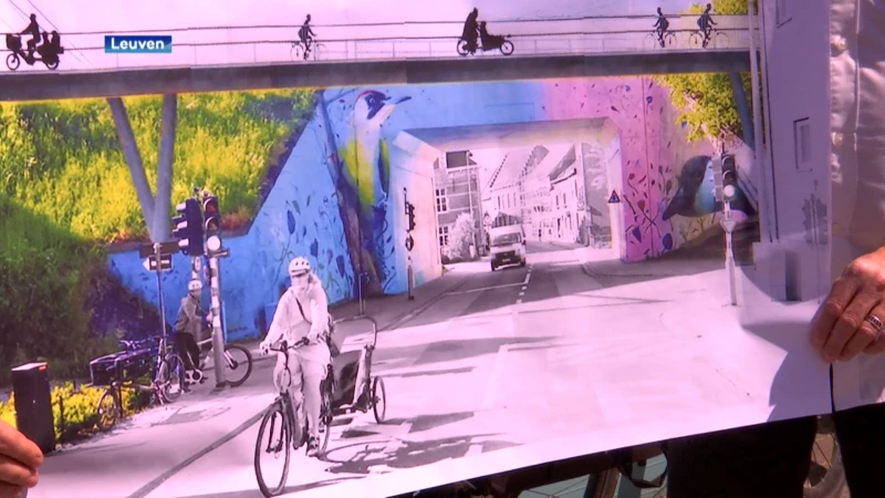 Groen Leuven wil een fietsbrug over de Geldenaaksebaan: "Budget voorzien voor een haalbaarheidsstudie, dus niet zomaar een ballonnetje dat we oplaten"