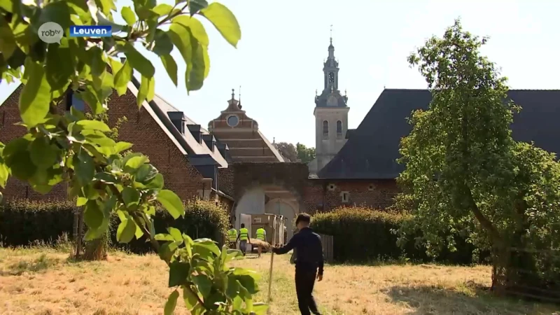 Leerlingen Heilig Hart steken handen uit de mouwen in Abdij van Park: "Willen een steentje bijdragen aan de natuur"