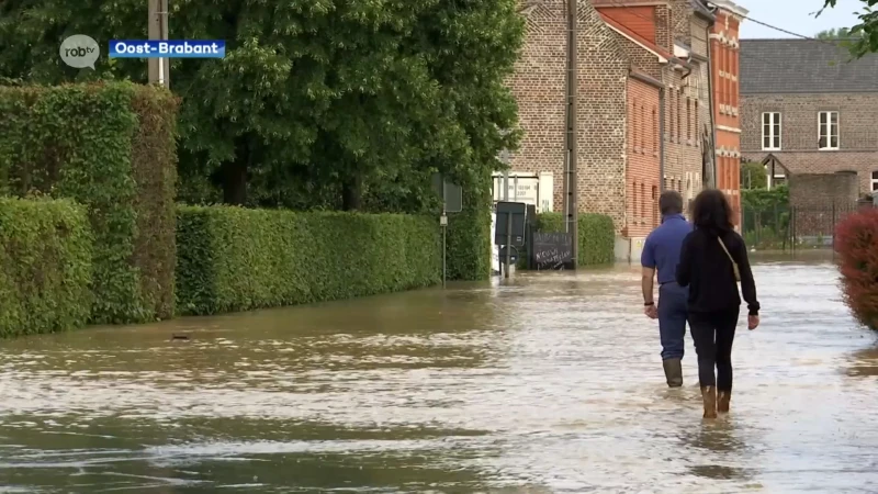 Vlaamse Milieumaatschappij neemt maatregelen tegen wateroverlast in Getestreek: extra wachtbekkens en dijken