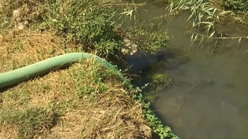 Tijdelijk oppompverbod voor Demer, Dijle en Scheiloop: "Ecologisch goede toestand van waterlopen behouden"