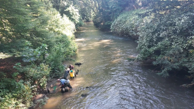 KU Leuven telt ruim 1200 diersoorten tijdens Bioblitz: vandaag Dijle en vijvers Arenberg aan de beurt