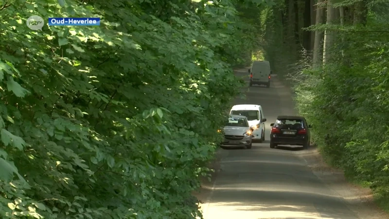 De Weertse Dreef in Oud-Heverlee wordt autovrij: "Eindelijk weer één bos"