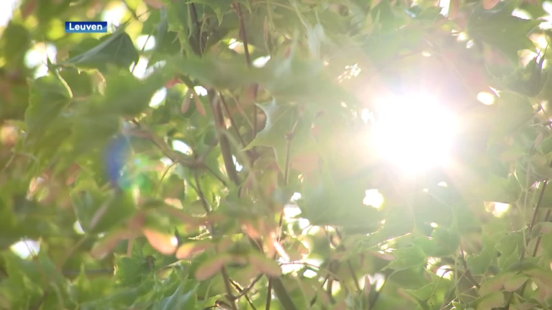 500 verschillende plantensoorten en 1 hectare groot: ontdek deze prachtige tuin in Wijgmaal tijdens Open Tuinen