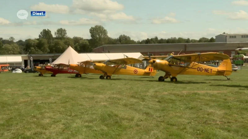 38ste editie van Oldtimer Fly & Drive-In in Schaffen is groot succes: "Dit is prachtig!"