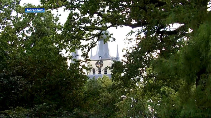 Vanavond Sint-Rochusverlichting in Aarschot, duizenden kaarsen verlichten de stad