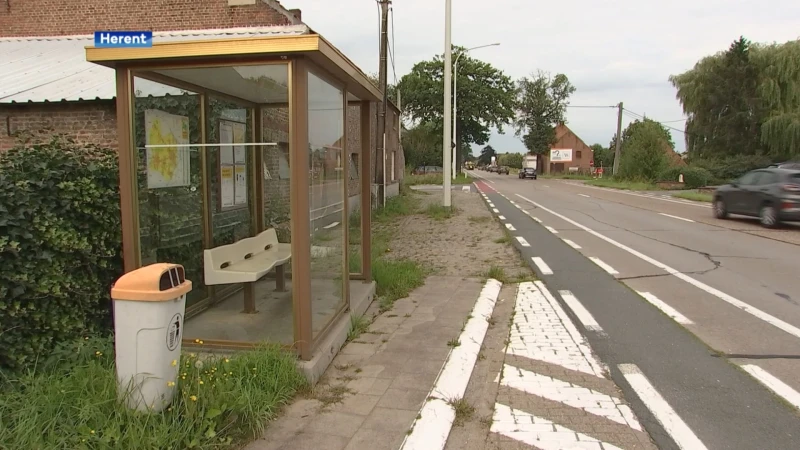 Bushalte op Mechelsesteenweg in Herent vanaf volgende week volledig vernieuwd