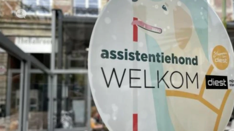 Diest deelt gratis stickers uit om belang assistentiehonden te benadrukken