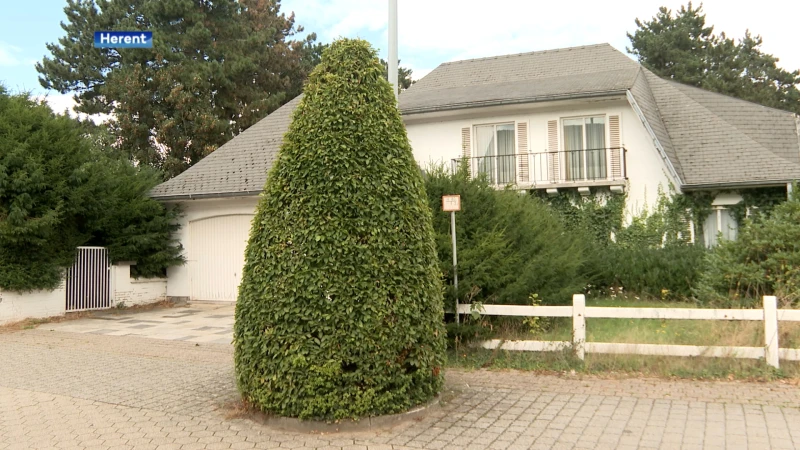 Geen nieuwe appartementen in Blokweg in Herent: minister fluit gemeente terug