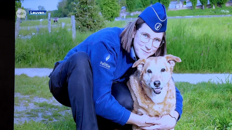 Politie Leuven heeft eerste diereninspecteur: "Elk jaar 1.000 meldingen over dierenwelzijn"