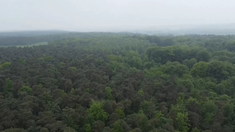 Brabantse Wouden officieel erkend als Nationaal Park