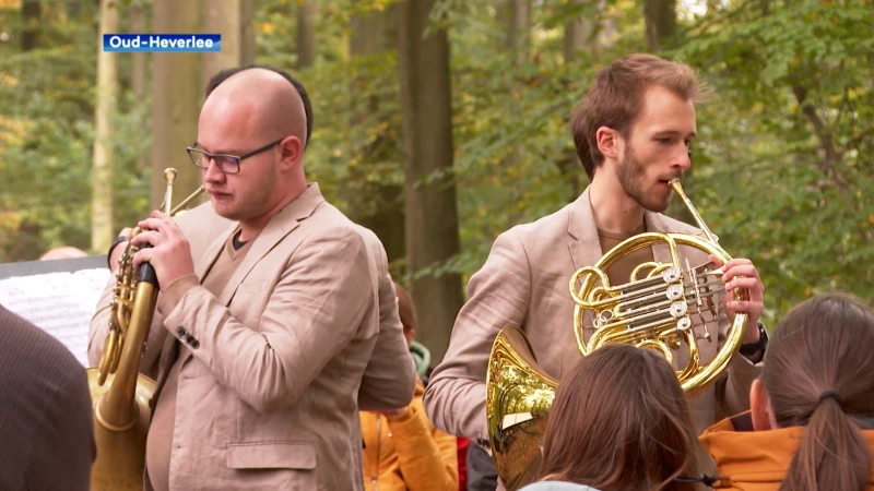 Muziek in bos: klassiek concert in Meerdaalwoud al wandelend tussen het publiek