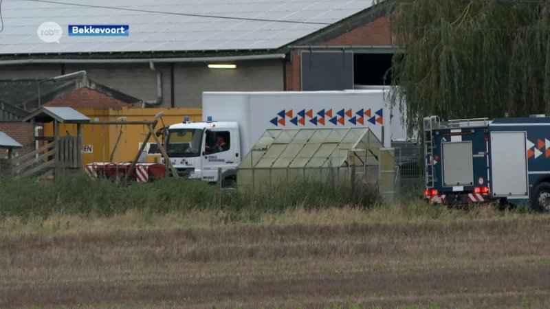 Hulpdiensten massaal ter plaatse bij hoeve langs snelweg in Bekkevoort: Parket van Antwerpen volgt de zaak op en geeft morgen meer uitleg