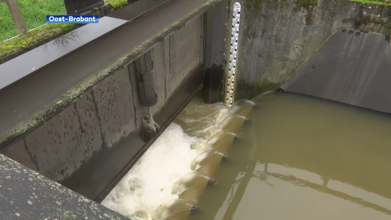 Waterpeil blijft stabiel in onze regio: "We laten wachtbekkens zelfs opnieuw leegstromen"