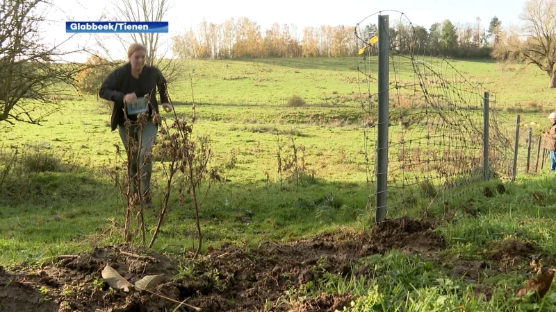 Looptocht van Natuurpunt in Vissenaken trekt 400 enthousiastelingen: "Met de modder was het echt vermoeiend"