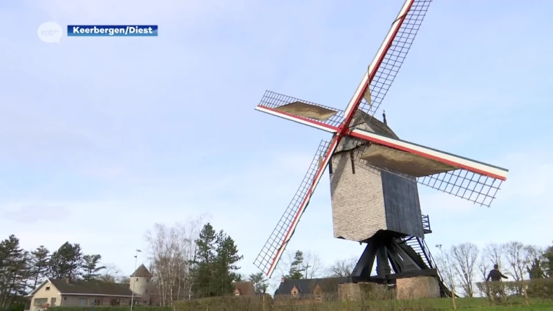 Lindemolen van Diest en Heimolen van Keerbergen genomineerd voor kenteken "Actieve Molen 2023"