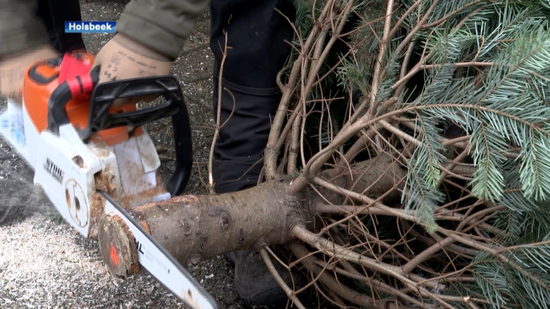 Al meer kerstbomen verkocht door de natte maand november