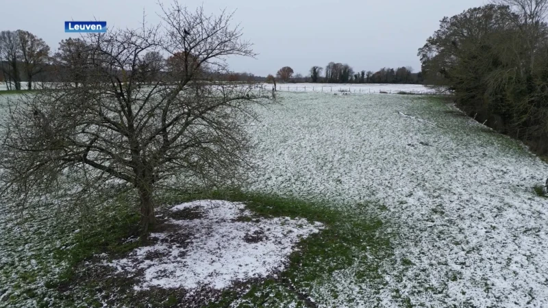 BEKIJK Sneeuwtapijt aan Abdij van Park vanuit de lucht