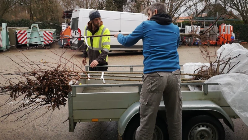 Bijna 2.000 Vlaams-Brabanders nemen deel aan groepsaankoop 'Behaag je tuin', goed voor meer dan 60.000 bomen en planten