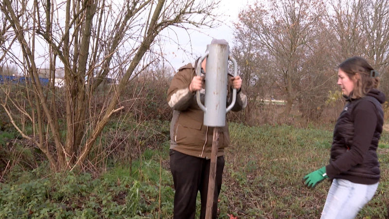 Nieuw voedselbos aan Oosterlindenveld in Schaffen aangeplant: "Groep vrijwilligers gaat het onderhouden"