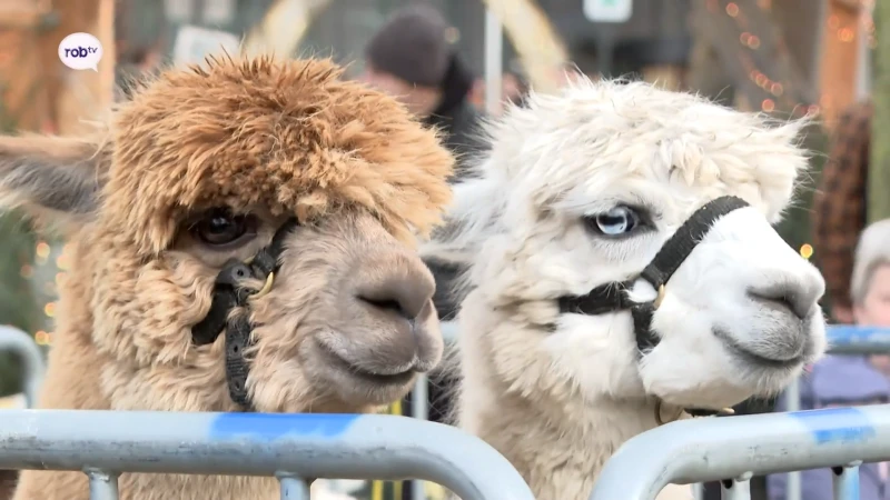 Aarschot opent donderdag boerderij met alpaca's, ezels en minikoeien