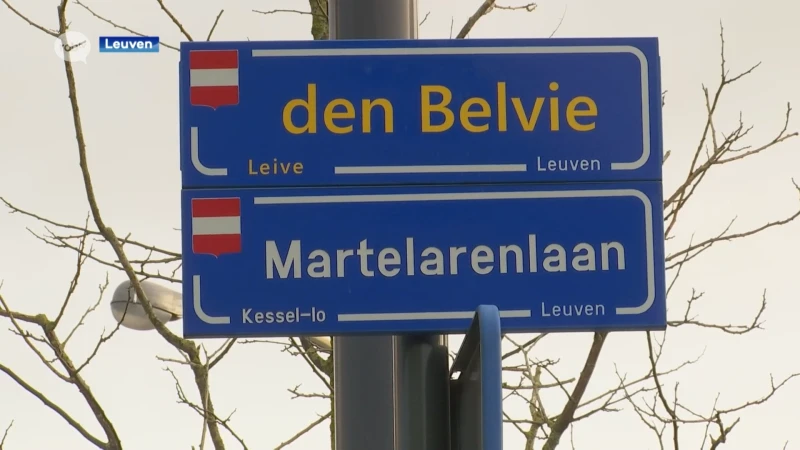 Politie Leuven haalt twee keer zelfde dronken bestuurder uit het verkeer op één avond