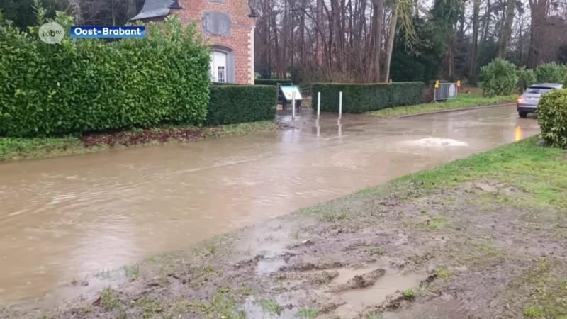 Hevige regenval doet waterpeil in onze regio stijgen: "Er zullen verschillende waterlopen buiten de oevers treden"