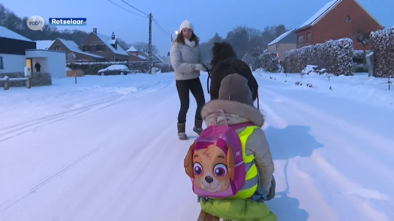 Te veel sneeuw? Elena (5) uit Rotselaar gaat met pony en slee naar school