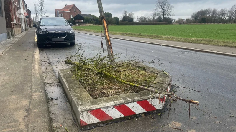 40-jarige vrouw uit Wijgmaal valt in slaap achter stuur en knalt tegen boom en auto