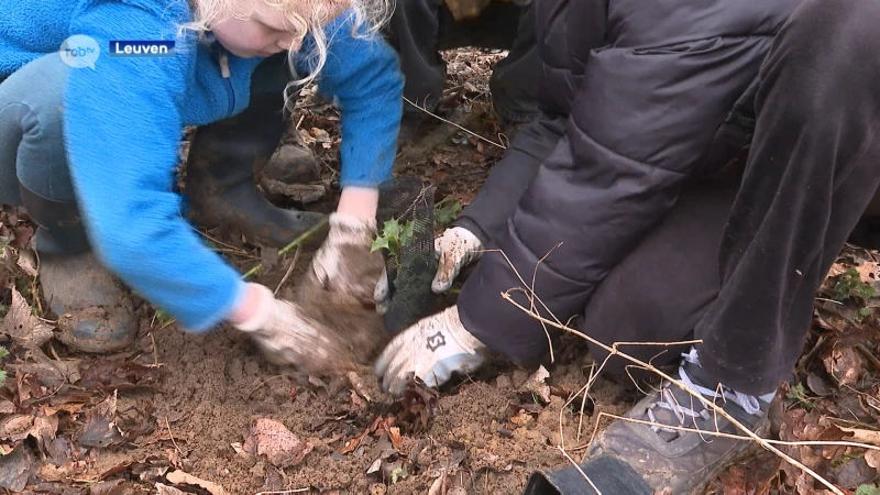 Stad Leuven plant natuurpark Warande naast Abdij van Park aan samen met omliggende scholen