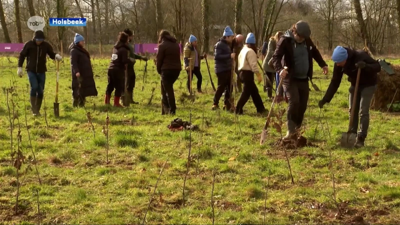 5000 nieuwe bomen in Tielt-Winge, Lubbeek en Holsbeek