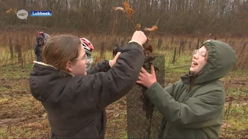 150 leerlingen planten mee aan een afstudeerbos in Lubbeek