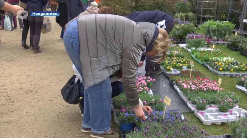 Plantenbeurs in Hoegaarden lokt veel volk: "Elke plaats in de tuin verdient wel zijn speficieke plant"