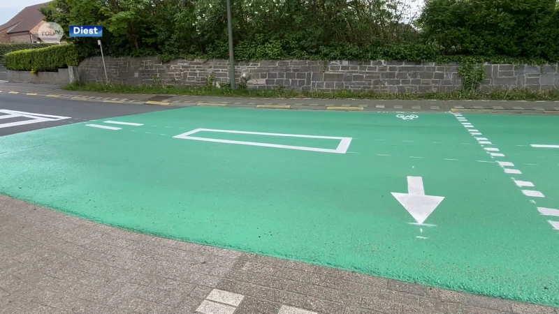 Groot groen vlak vervangt verkeersdrempels op Zelemseweg in Schaffen