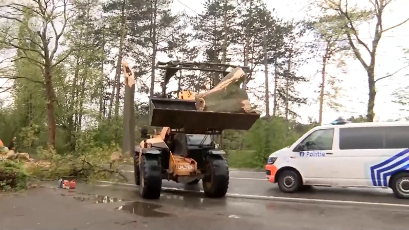 Stormschade in onze regio: tientallen oproepen voor afgebroken takken en omgewaaide bomen